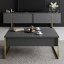 Hanah Home Luxe Mesa de Centro Antracita y Dorado